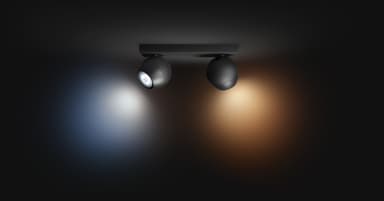 Philips Hue Buckram spotlys 2x5W (sort)