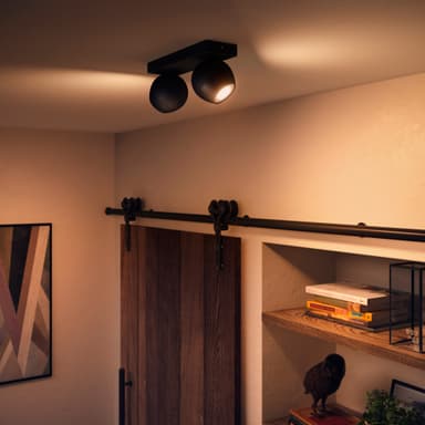 Philips Hue Buckram spotlys 2x5W (sort)