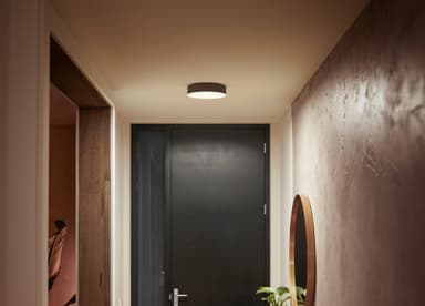 Philips Hue Enrave S taklampe (sort)