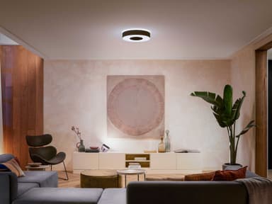 Philips Hue Infuse M taklampe (sort)