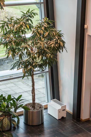 Woods Vienna luftfukter HSW100 (hvit)