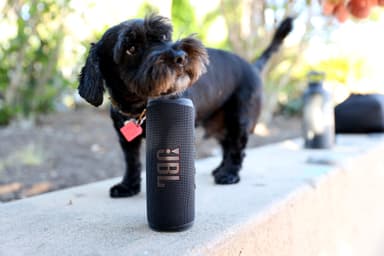 JBL Flip 6 bærbar høyttaler (sort)