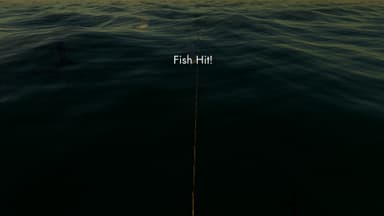 Fishing: North Atlantic - PC Windows