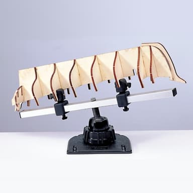 Amati - båt holder