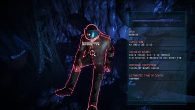 Transient - PC Windows