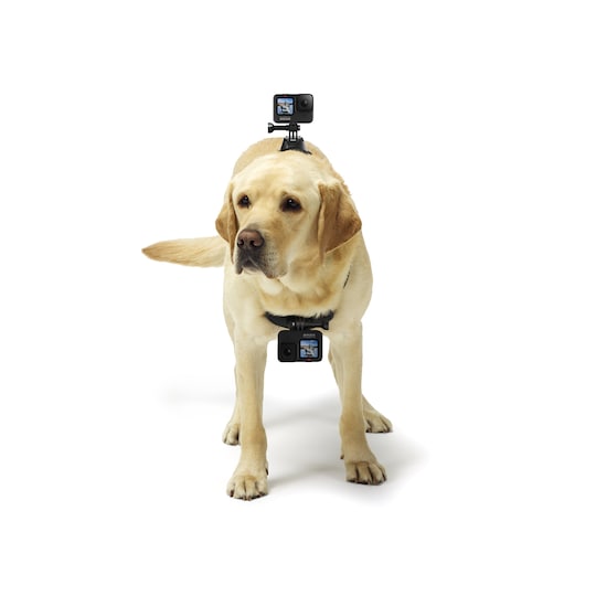 GoPro Fetch hundesele til GoPro