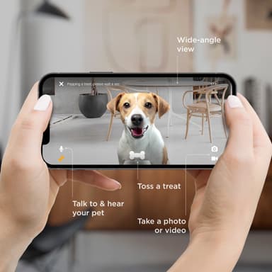 Petcube Bites 2 Lite