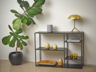 Harman Kardon Citation ONE MK3 høyttaler (grå)