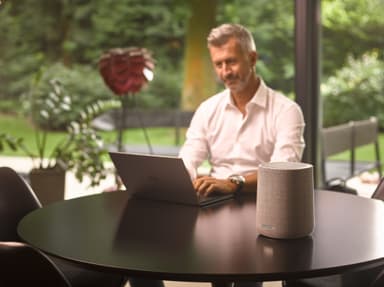 Harman Kardon Citation ONE MK3 høyttaler (grå)