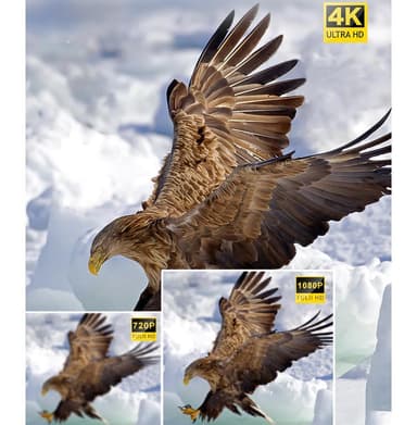 Videokamera 4K/48 megapiksler/16x zoom/nattsyn/fjernkontroll