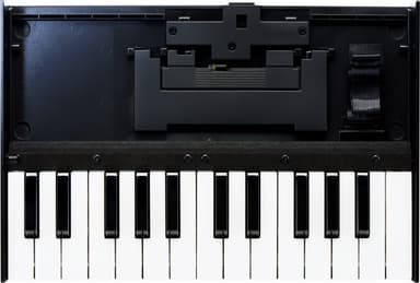 Roland Boutique K-25M