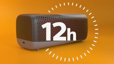 Philips S4807 trådløs bærbar høyttaler (sort)