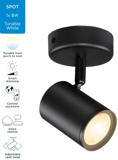 WiZ Imageo spotlys 929002658401