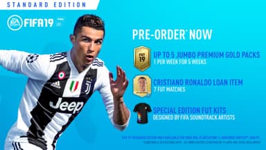 FIFA 19 (PS4)