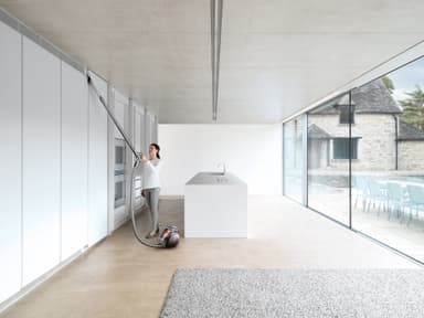 Dyson Big Ball Animal Pro 2 poseløs støvsuger