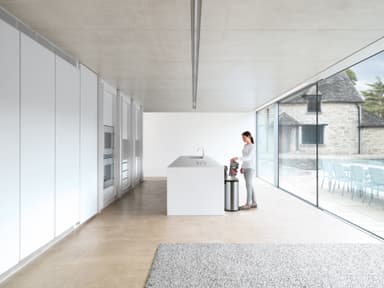 Dyson Big Ball Animal Pro 2 poseløs støvsuger