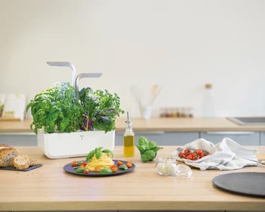 Innendørs urtehage Veritable Smart hvit