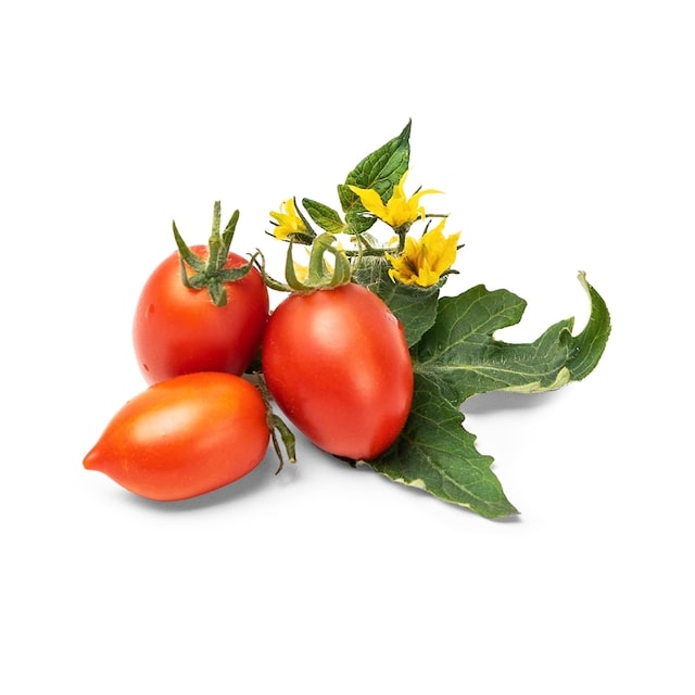 Urtepod - røde tomater