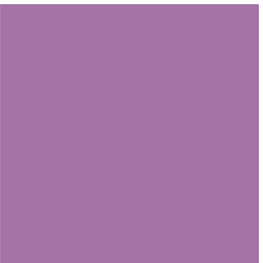 Cricut Premium Permanent Vinyl 6-pk. (pastellfarger)