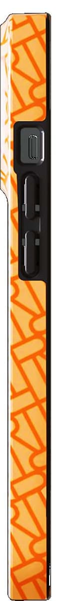 R&F telefondeksel til iPhone 12 Pro Max (tangerine)