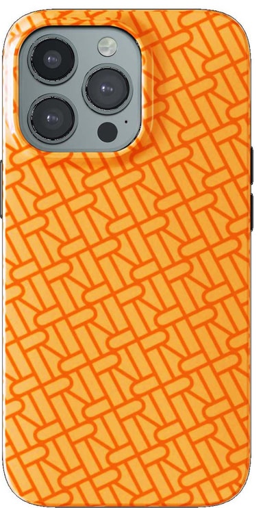 R&F telefondeksel til iPhone 13 Pro Max (tangerine)