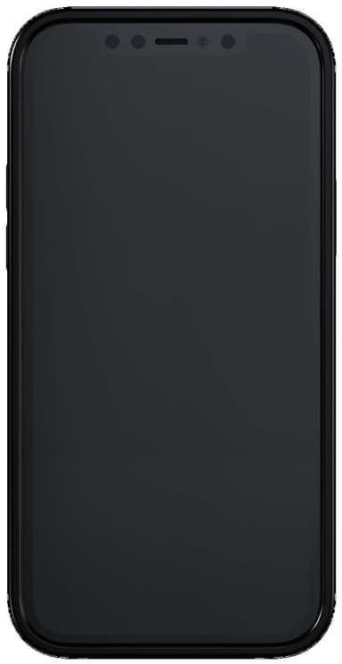 R&F telefondeksel til iPhone 12 Pro Max (tangerine)