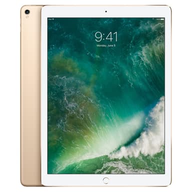 iPad Pro 12,9" 64 GB WiFi (gull)