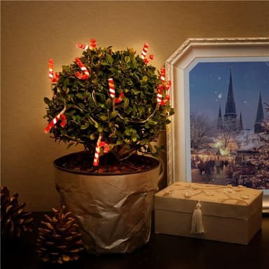 Goobay String Light ""Candy Canes"" med 10 lysdioder