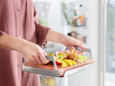 Electrolux Saltstein E2SLT