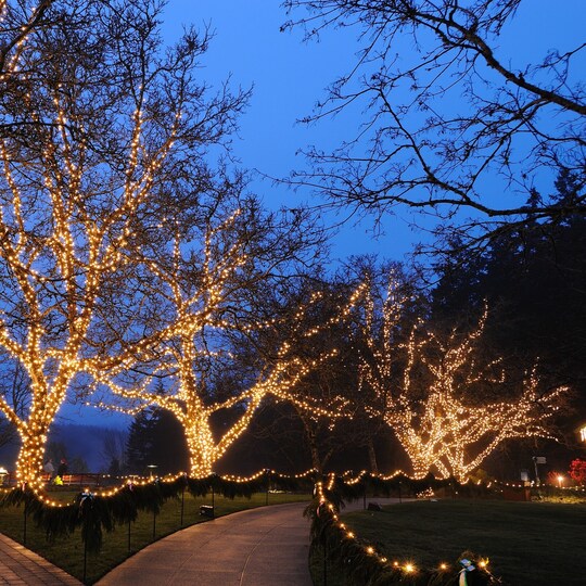 Julebelysning utendørs LED 60 meter med opptil 1200 varmhvite lamper