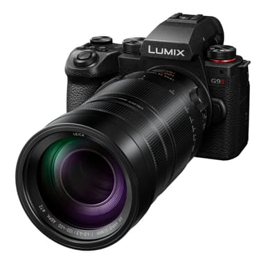 Panasonic Leica DG Vario-Elmar 100-400mm
