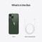 iPhone 13 mini – 5G smarttelefon 256GB (grønn)