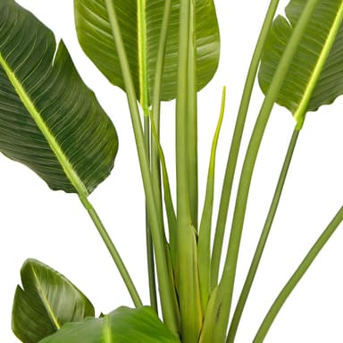 Lykke Kunstig Plante Paradisfugl 200cm