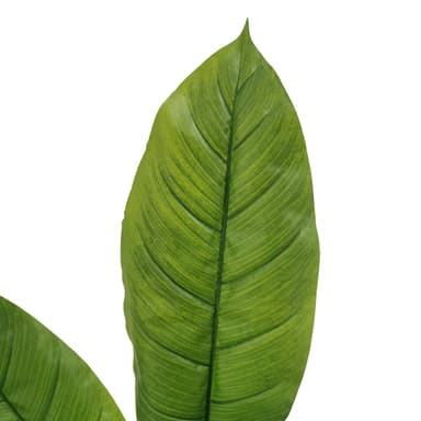 Lykke Kunstig Plante Fredslilje 105cm