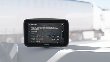 TomTom GO Professional 6" GPS (sort)
