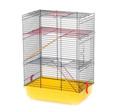 Cage Teddy 2 Eko G016E 36x24x50cm