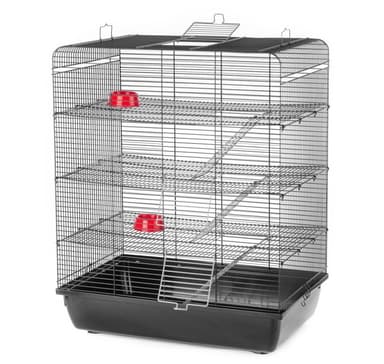 Cage Remy Color G126 58x38x71cm