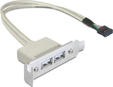 DeLOCK intern kabel for USB 2.0, IDC10 ha - 2xUSB 2.0 A ho, 0,5m