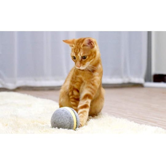 Wicked Ball - interaktivt leketøy for hund og katt - grå