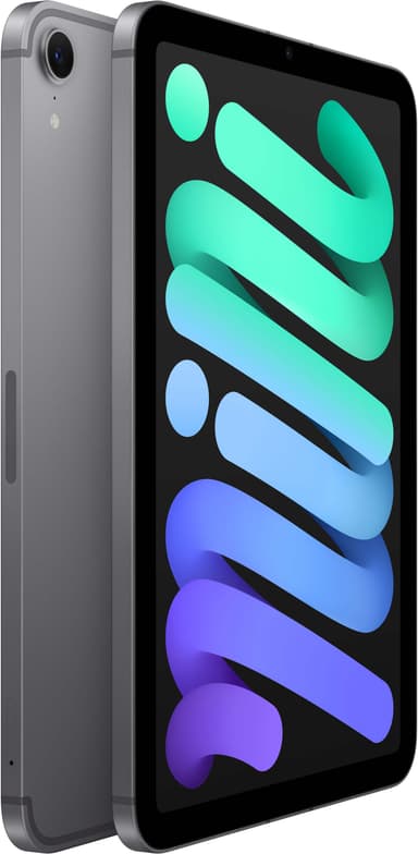iPad mini A17 Pro Wi-Fi + Cellular 512GB (stellargrå)
