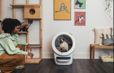 Whisker Litter-Robot 4 Automatic Cat Litter Box - Hvit