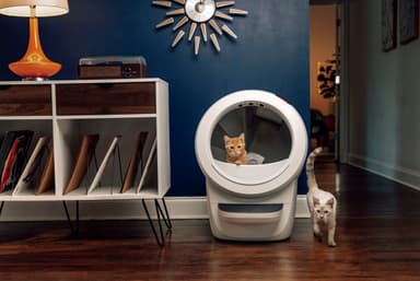 Whisker Litter-Robot 4 Automatic Cat Litter Box - Hvit