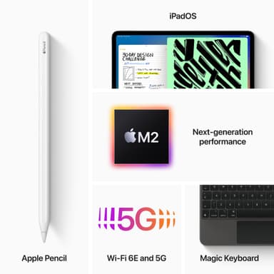 iPad Pro 11" 2022 2 TB WiFi + 5G (stellargrå)