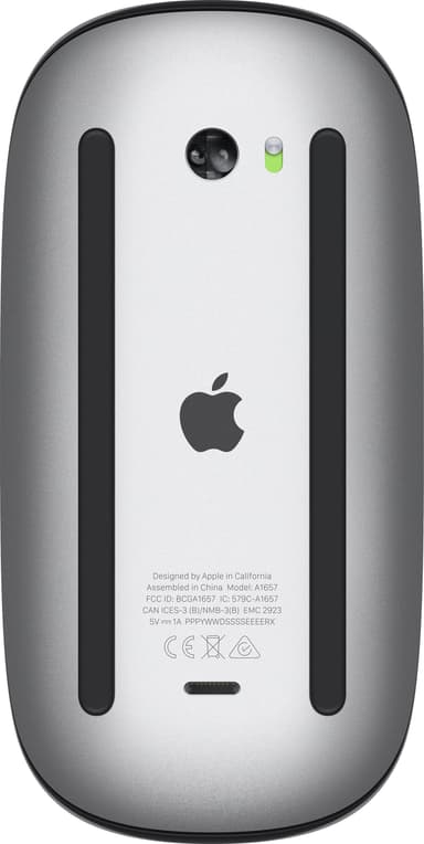 Apple Magic Mouse (sort)