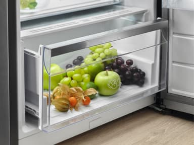 Electrolux Kjøleskap LRT5ME38U2 (Stål)