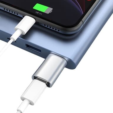 USB 3.0 (hann) til USB-C (hun) adapter Sølv