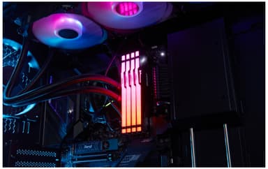 Kingston FURY Beast RGB 32GB DDR5 RAM 6000MT/s CL36 (sort)