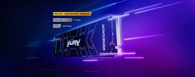 Kingston FURY Renegade NVMe intern SSD med kjøleribbe (4 TB)