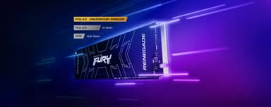 Kingston FURY Renegade NVMe intern SSD med kjøleribbe (2 TB)