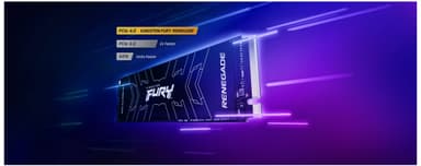 Kingston FURY Renegade PCIe 4.0 NVMe M.2 intern SSD (500GB)